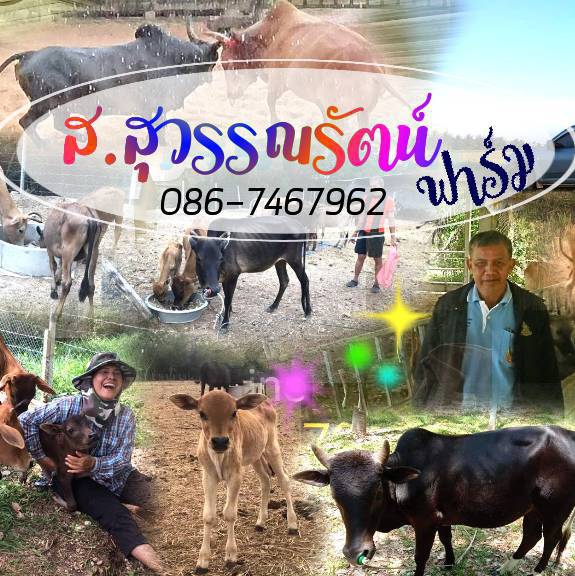 ส.สุวรรณรัตน์ ฟาร์ม