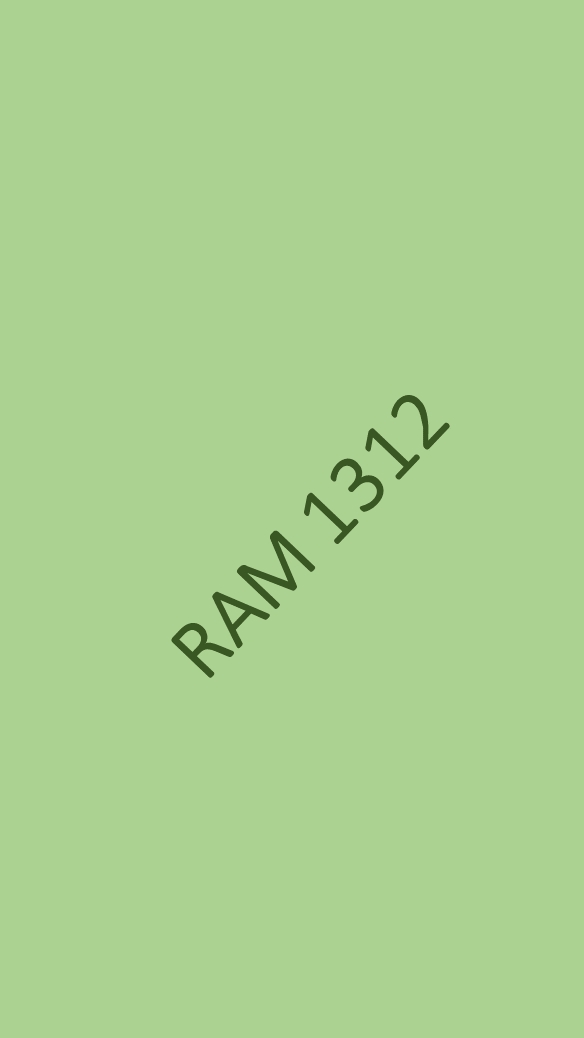 RAM1312