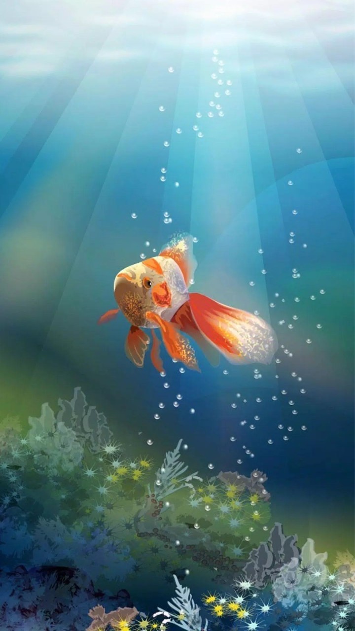 金魚交流群（金門）