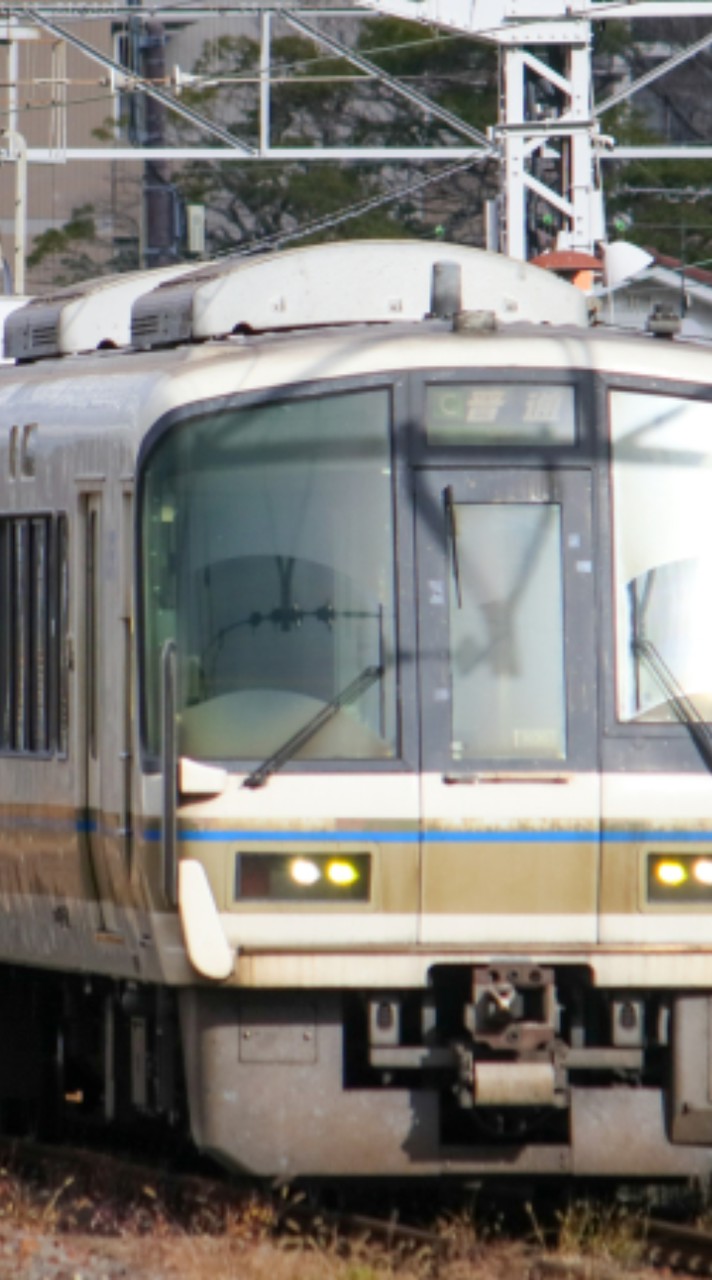 マイクラ統合版鉄道開拓鯖　【桜花】