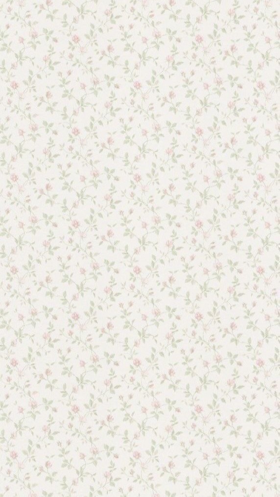 ♥︎🐈‍⬛𓈒𐬏݁𐬹ᕱᕱ𓈒̫  Premium 𓈒𓆝 𓆟