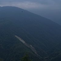 大溪-荃威計程車