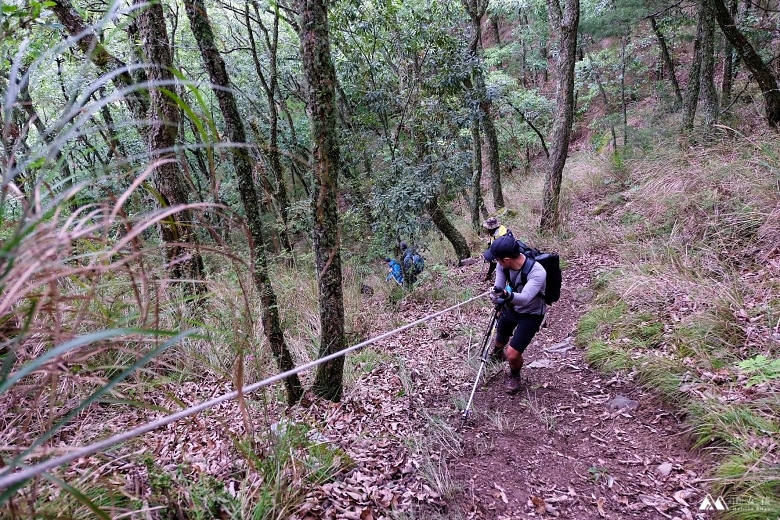 山女孩Melissa_羅馬縱走_羅葉尾山_馬武佐野郡山1527.JPG