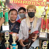 อนพัชรไก่ชนฟาร์ม
