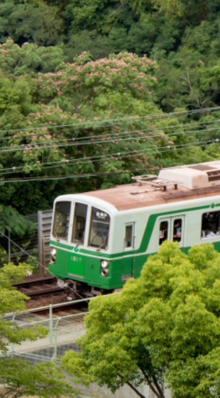 OpenChat ﾄｯｶｲｿｸの鉄道雑談オプチャ