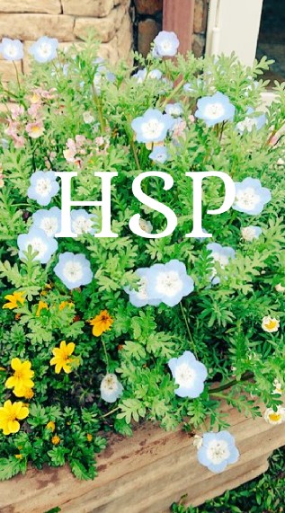 HSP🍀心の拠り所🍀相談質問情報交換部屋