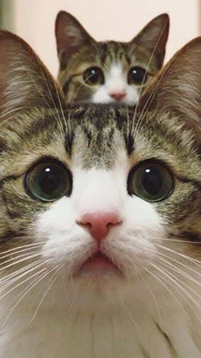 動物大好き♡♡