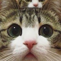 動物大好き♡♡