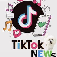 抖音媒體新聞網