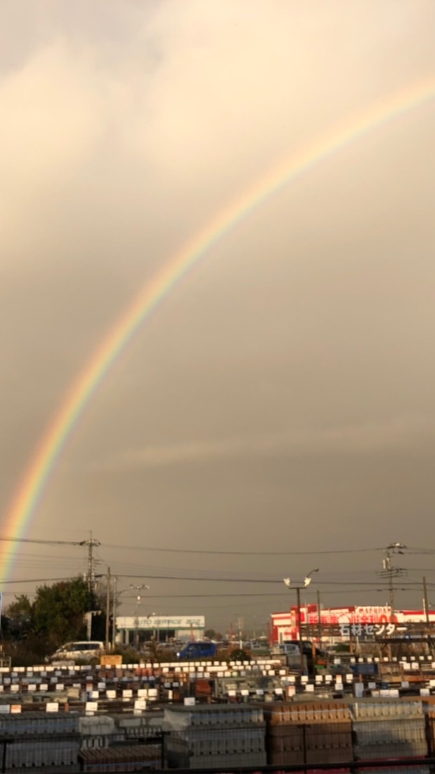 虹の橋で待っててね🌈いつか必ず会おうね