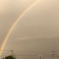 虹の橋で待っててね🌈いつか必ず会おうね