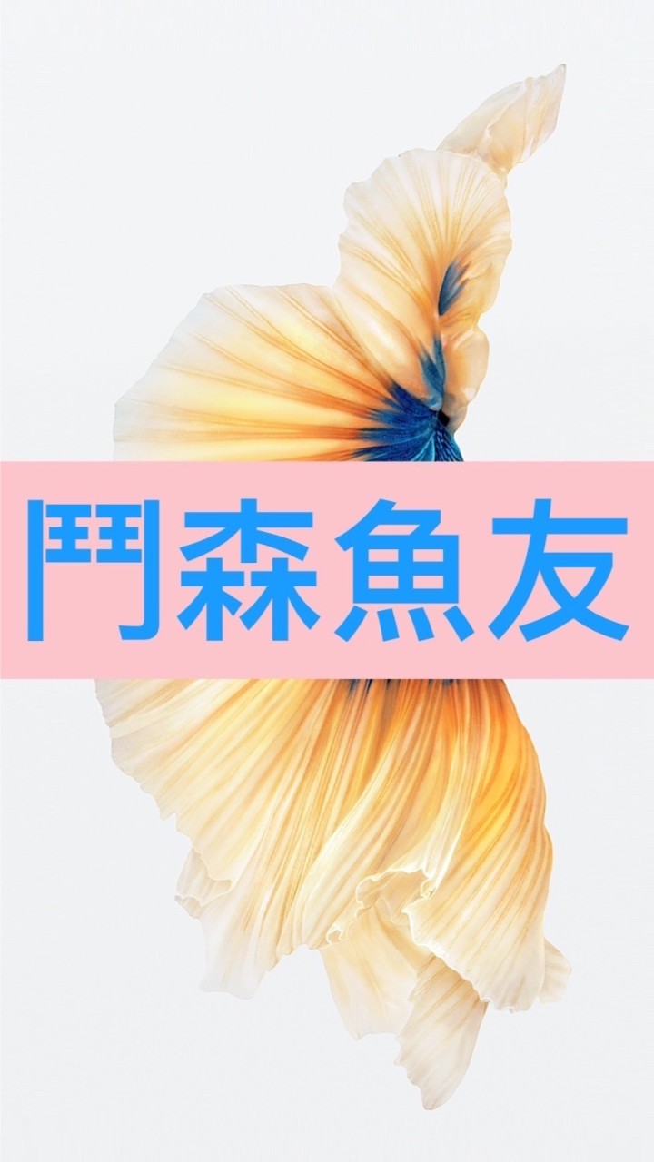 🌸鬥森魚友-詢問.聊天.交流.分享群