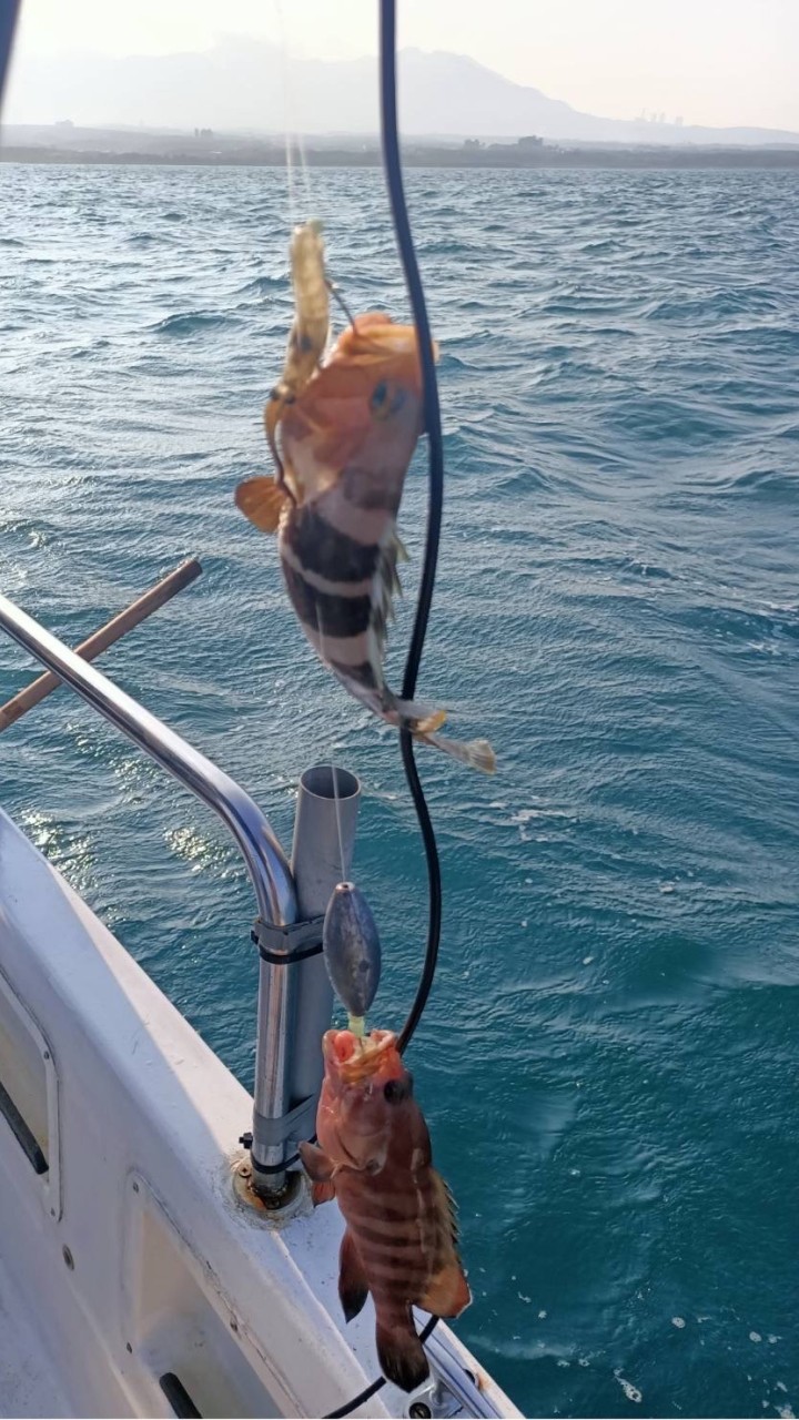 蘭陽手釣海鮮買賣