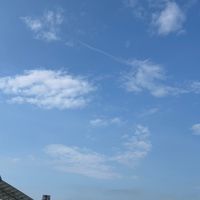 中・高生で雑談しよ！！