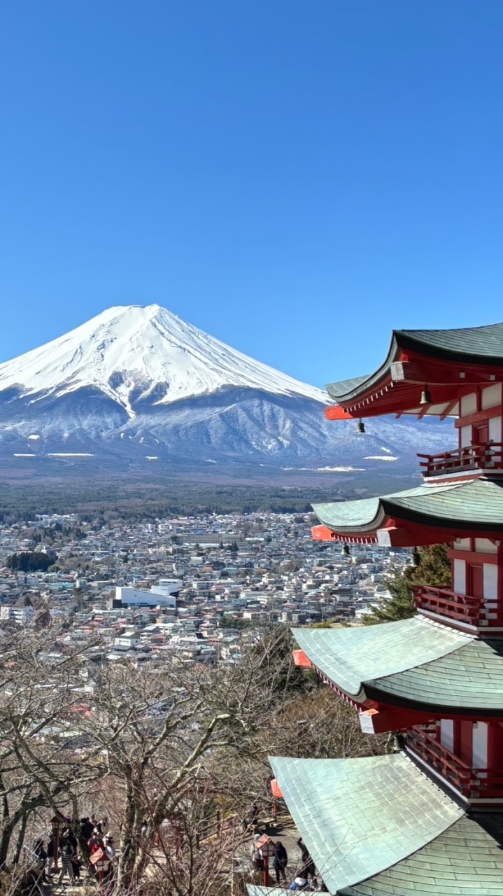 波波帶路：旅人之巷