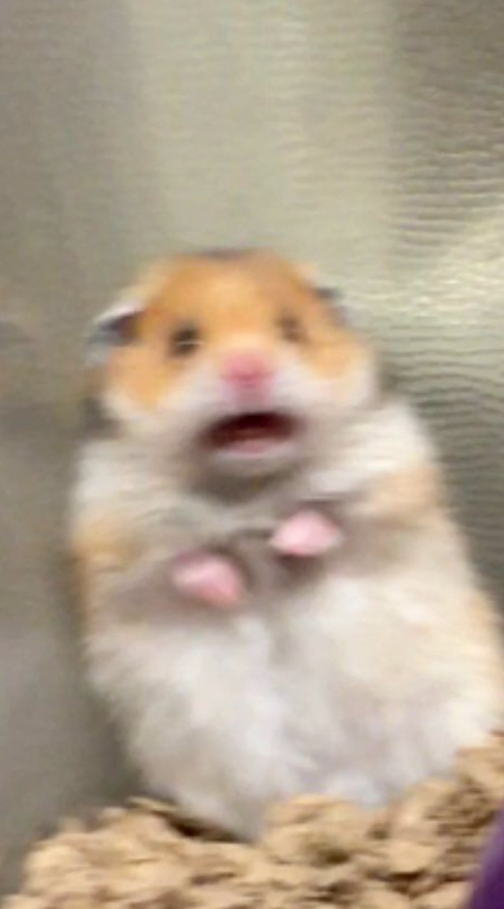 演れ。 (声劇みたいなん、多分)