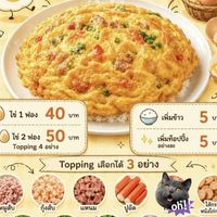 ข้าวไข่เจียวทรงเครื่อง