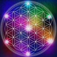 💫冠軍團隊💫健康管理分享區