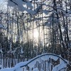 ドラクエウォーク函館