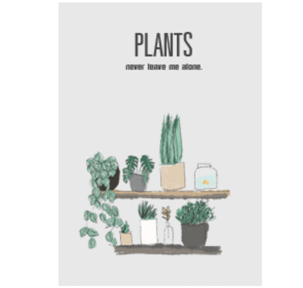 Plants never leave me alone.