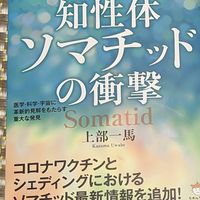 ソマチッド情報（発信専用　中澤晴子）
