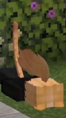 รักน้าจุ้บๆ