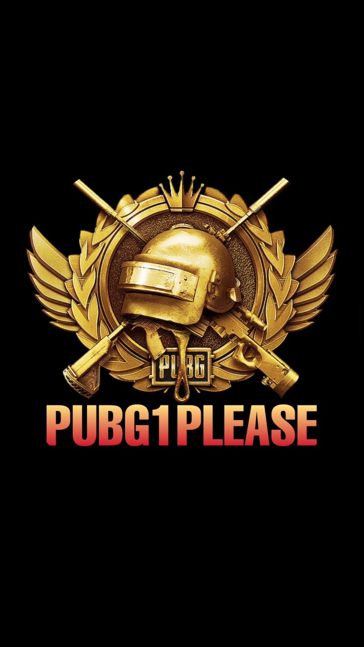 PUBG1Please〆