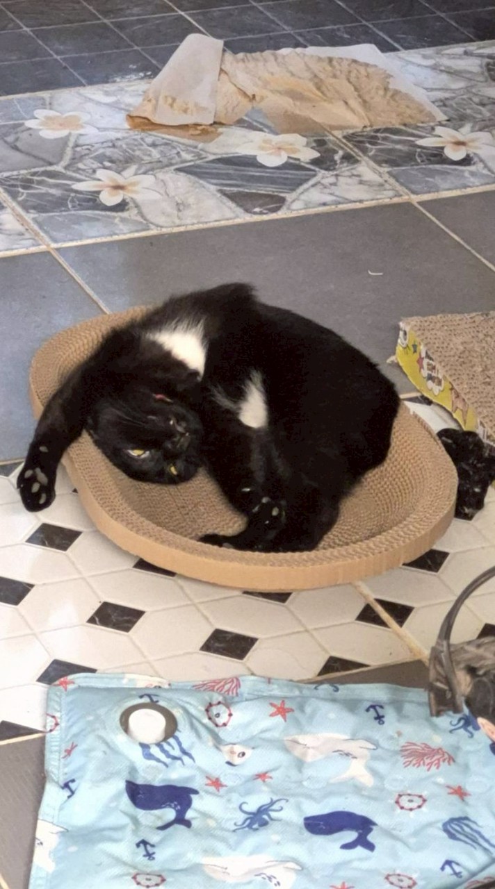 กลุ่มศิลปะ ม.4