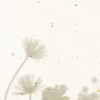 蒼蘭学園🎼🌸(芸能人なり恋愛)