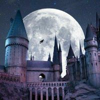 ฮอควอตส์🌛(2020)