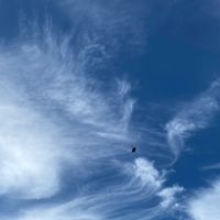 5.家家-貴貴-lucky顧問群