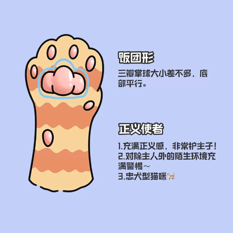 下滑至內文看更多