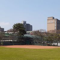 運動小園地