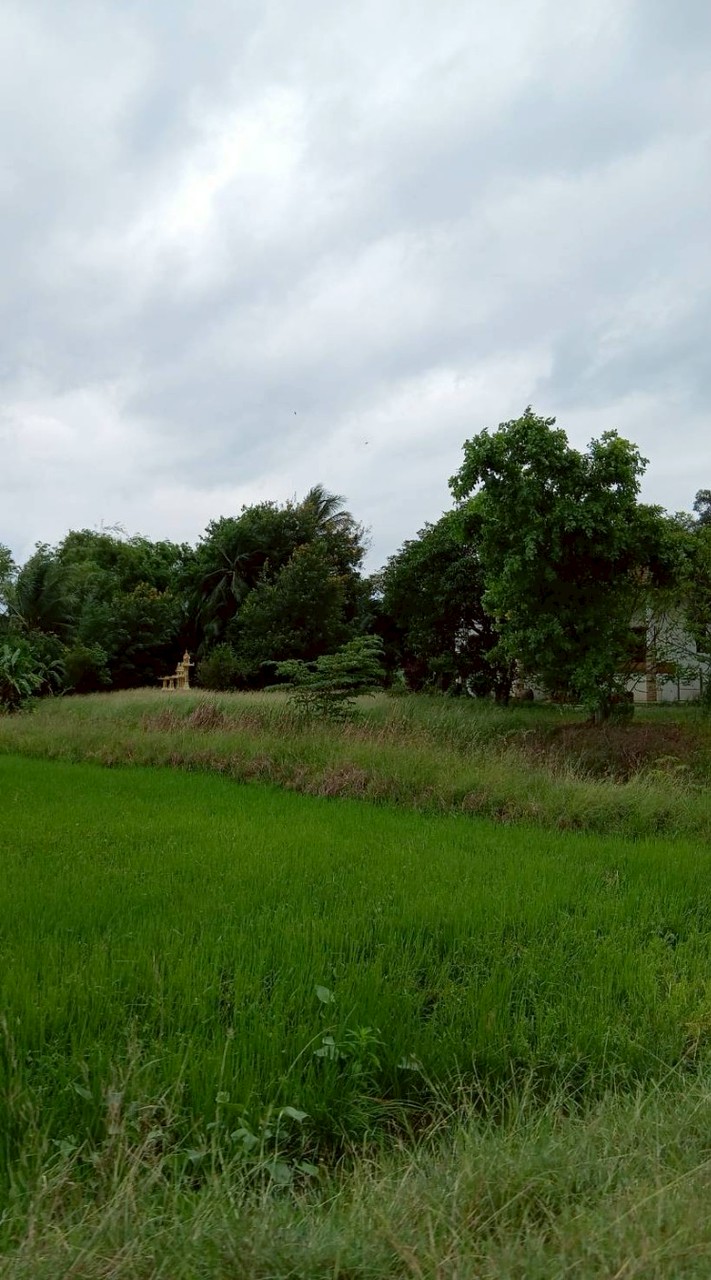 ชีวิตดีๆ🌻🌻มีได้ทุกวัน🍀🍀🍀🍀🌸🌸🌸🌼🌼🌼🌼🍃🍃🍃🍃🍃🌿🌿🌿🌿