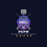 PE Esports PUBG MOBILE