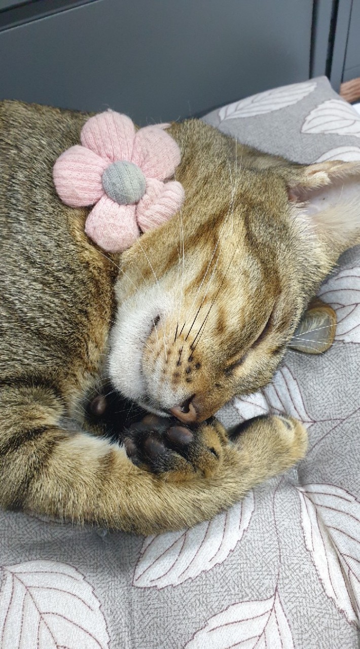 นังทาสของสลิด😻