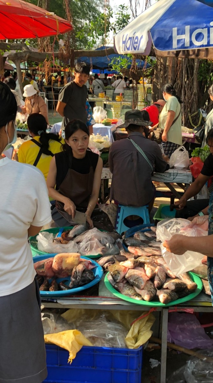 ปิยะจะขายปลา