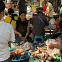 ปิยะจะขายปลา