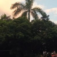大安情報庫