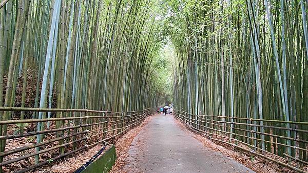 泰安一日遊