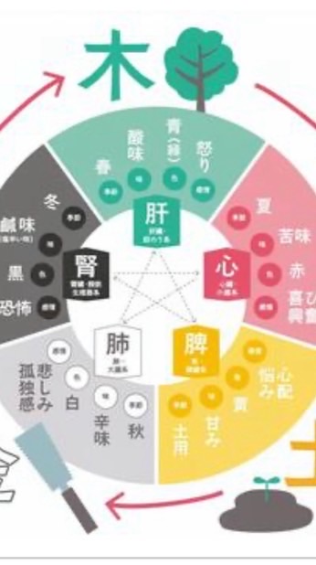 経絡ブラシ部