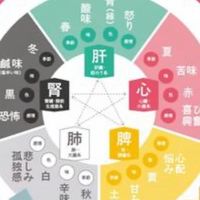 経絡ブラシ部