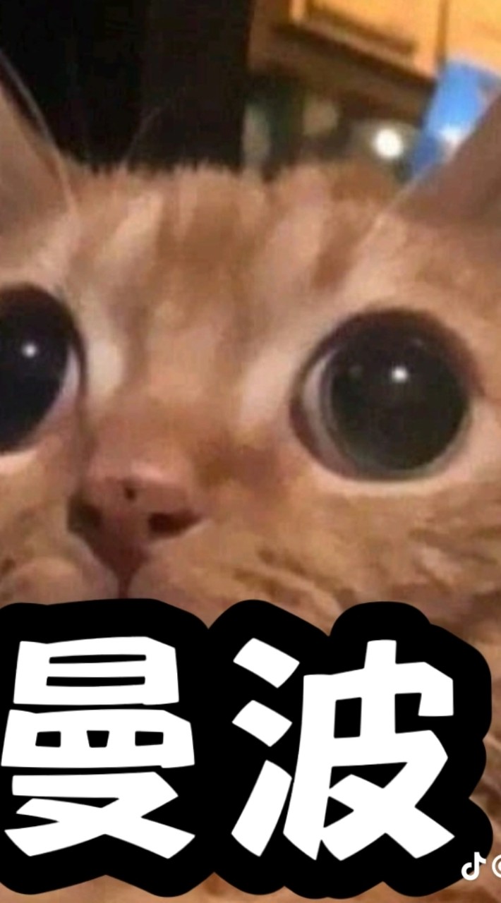 抽象或發瘋群