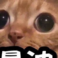 抽象或發瘋群