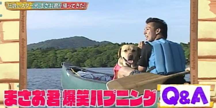 何問正解できる ポチたま の人気旅犬 まさお君の爆笑ハプニングクイズに挑戦 どうぶつピース