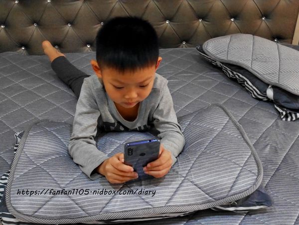 【舒福家居】3D透氣床墊枕墊 #隔離塵蟎 #可水洗涼感紗 讓孩子有舒適且安心的睡眠 (6).JPG