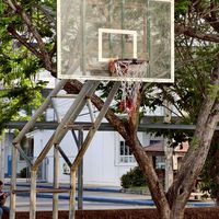 สนามบาสตากพิทฯ