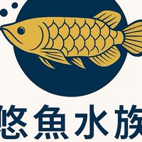 悠魚水族