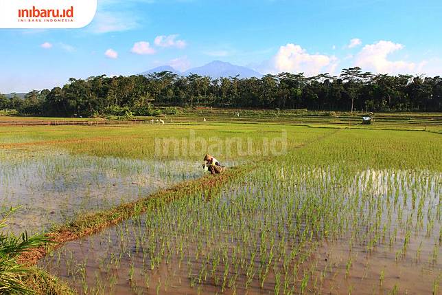 Indonesia dikenal sebagai negara agraris karena