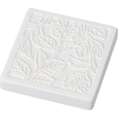 【生活の木】芳香石頭 草本 白色